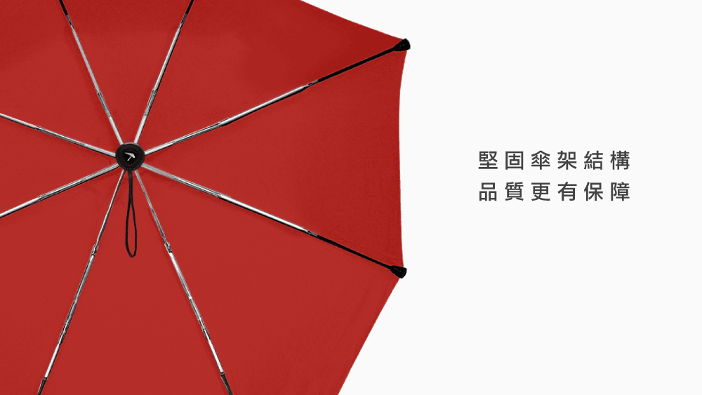 senz° 盛世 - Foldable Umbrella Manual 摺疊防風傘 – Shiny Silver / 耀銀灰 23