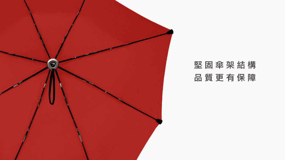 senz° 盛世 - Senz Foldable Umbrella Deluxe - 菁英自動摺疊防風傘 - Passion Red / 熱火紅 27